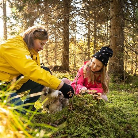 Koli Freetime Cottages Ahmovaara 외부 사진
