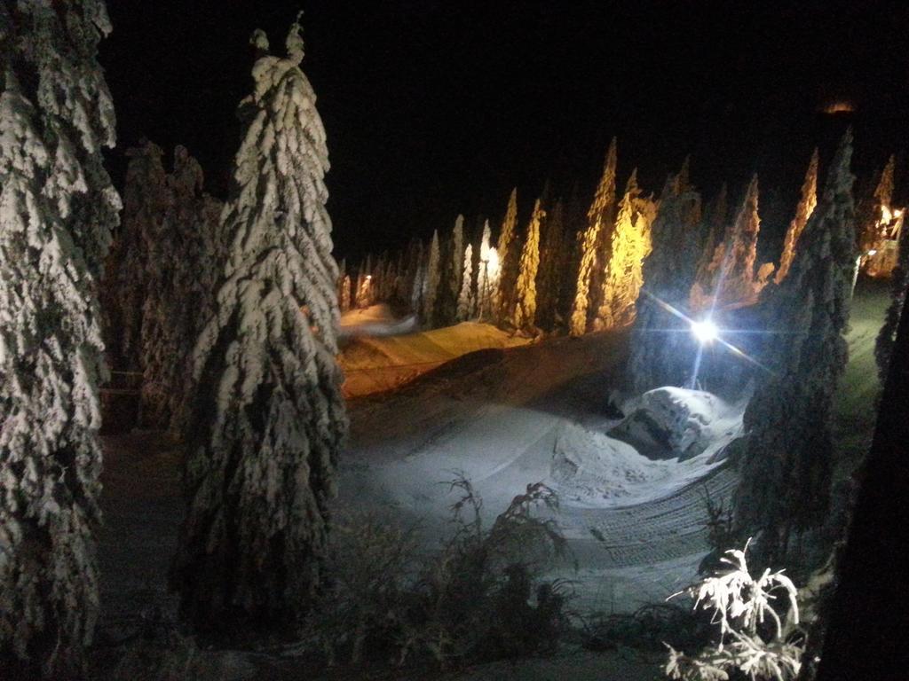 Koli Freetime Cottages Ahmovaara 외부 사진