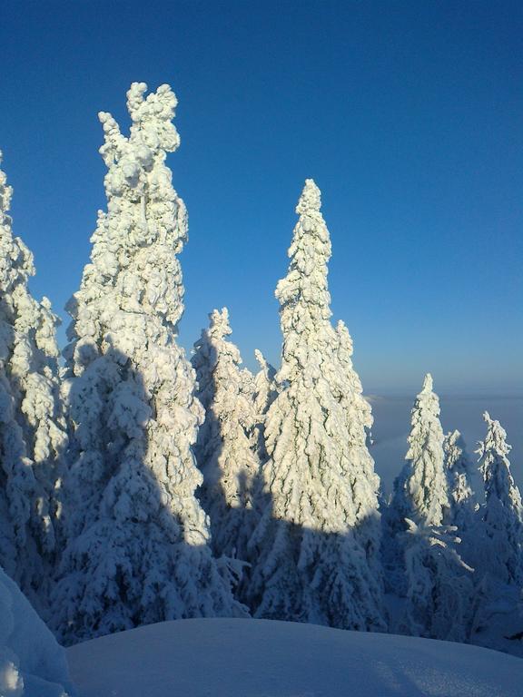 Koli Freetime Cottages Ahmovaara 객실 사진