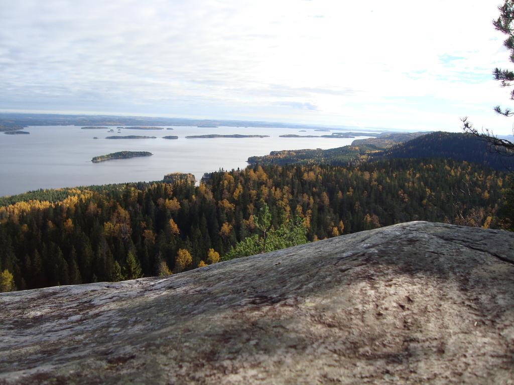 Koli Freetime Cottages Ahmovaara 객실 사진