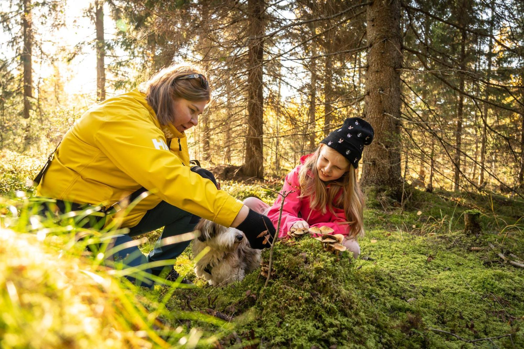 Koli Freetime Cottages Ahmovaara 외부 사진